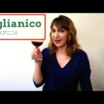 【イタリアワイン講座】#1 アリアニコ