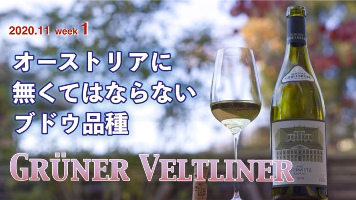 オーストリアワインを知る４本！1本目はもちろんグリューナー・フェルトリーナー！銘醸地カンプタールで850年続く超老舗ワイナリー「シュロス・ゴベルスブルグ」の単一畑ワインをテイスティング解説します