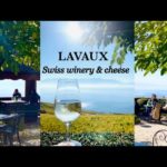 おウチでスイス旅気分 世界遺産ラヴォー地区の紅葉ワイナリー＆チーズ料理 | 海外生活 スイスワイン Unesco Lavaux Switzerland